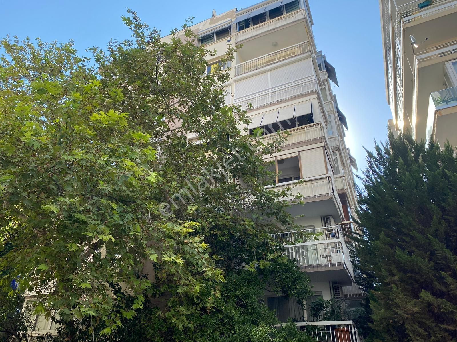 Alsancah Amerikan Kültürünyanı Otoparklı - Görsel 14