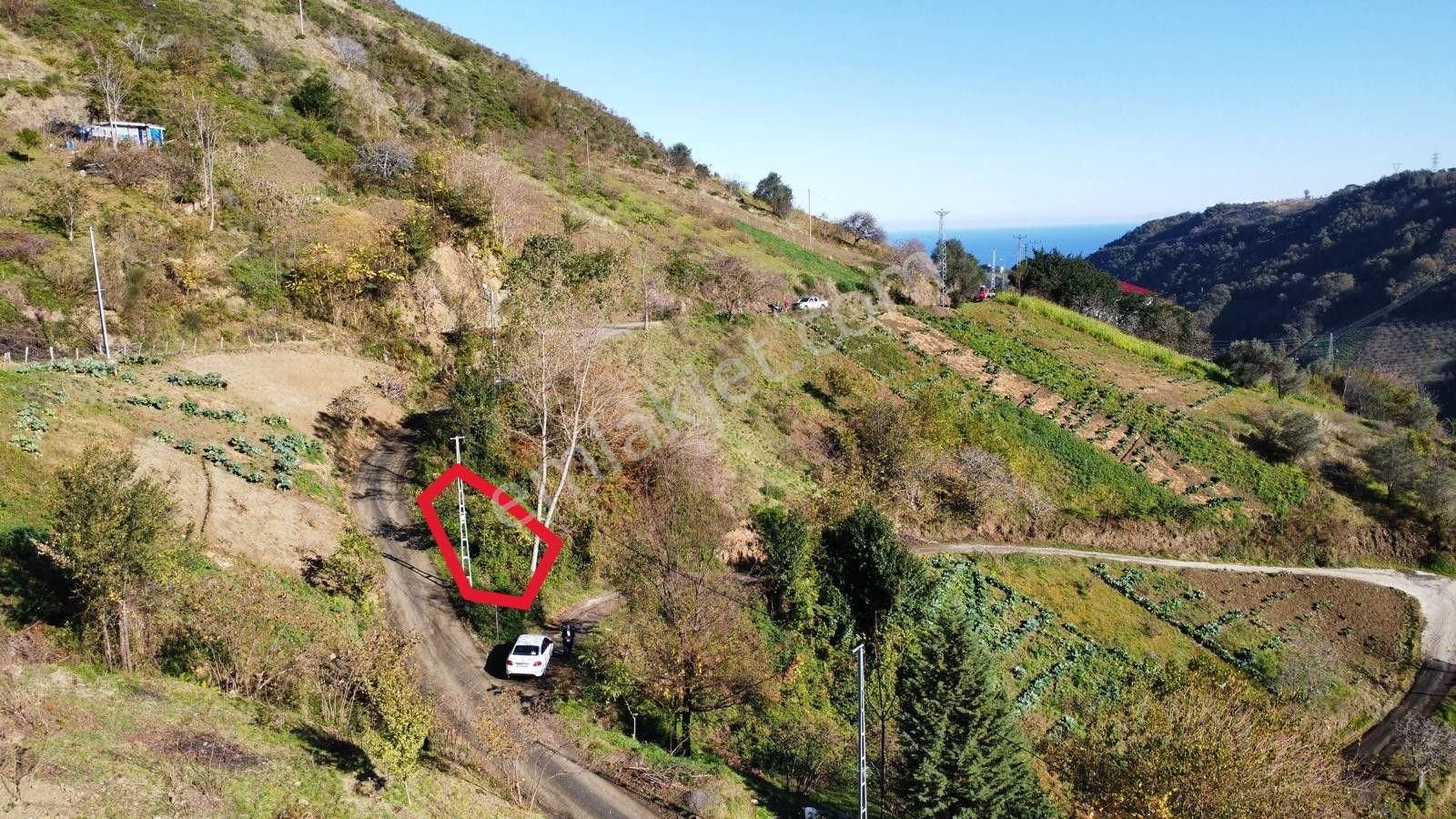 Trabzon Akçaabat Akçakale'de Satılık Arazi - Görsel 16