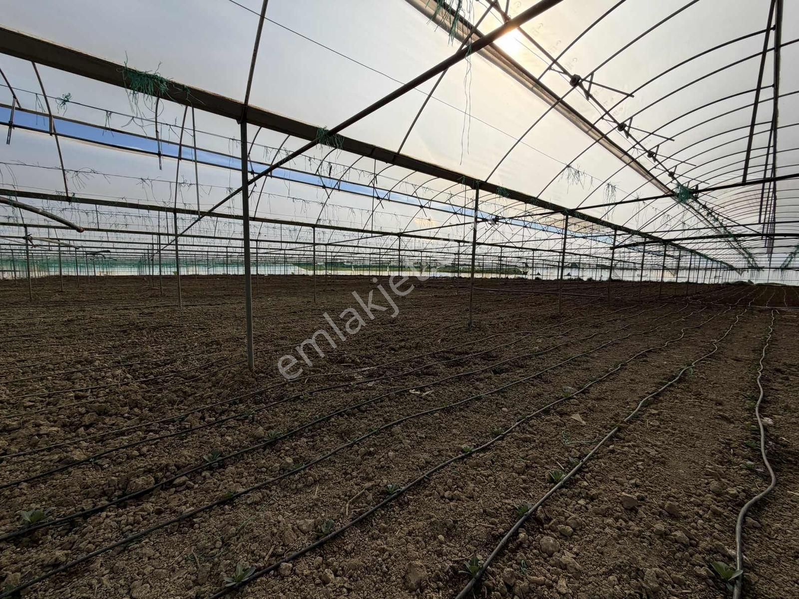 Antalya Aksu Karaözde 8.886 M² Satılık Arazi - Görsel 29