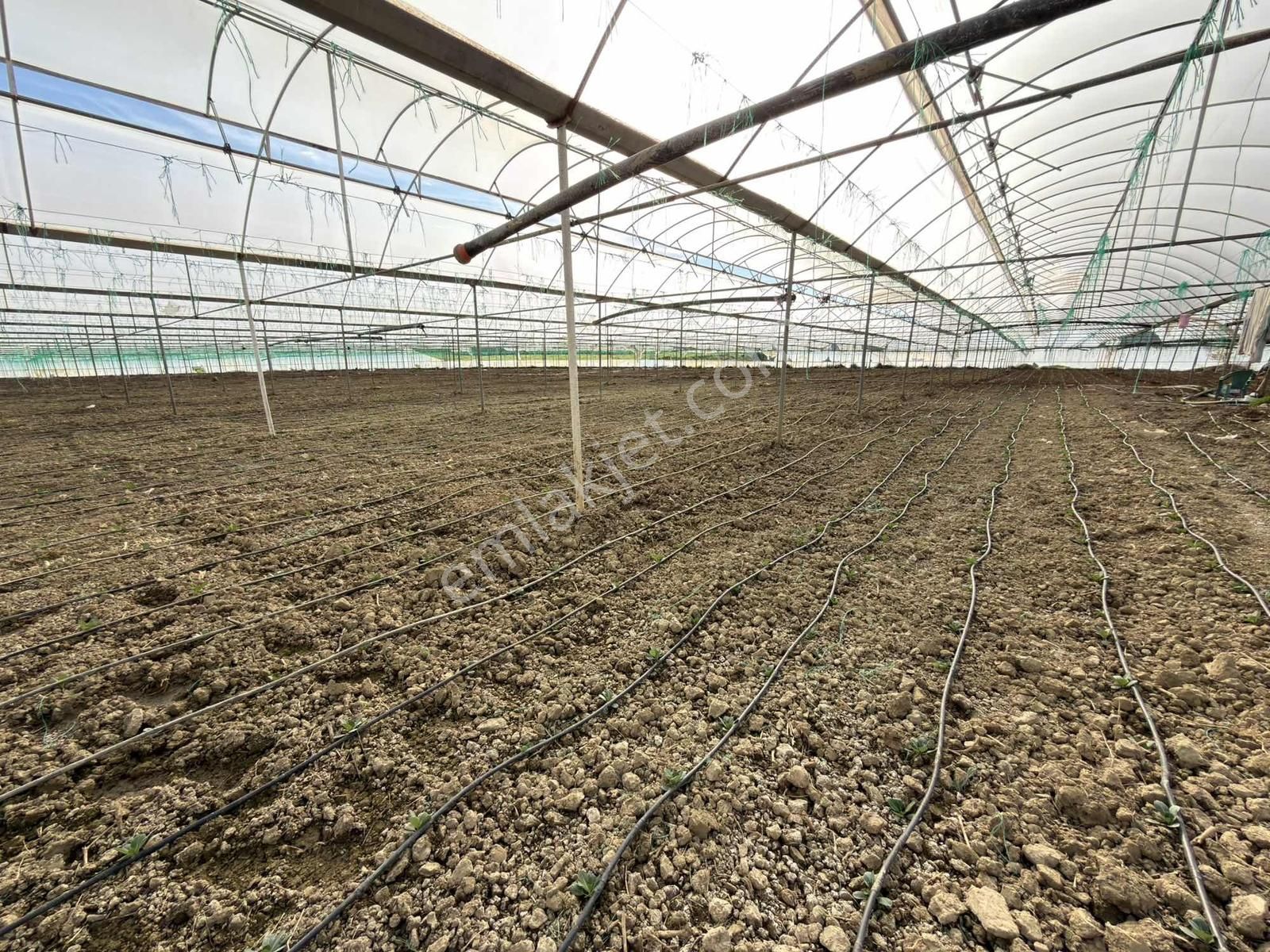 Antalya Aksu Karaözde 8.886 M² Satılık Arazi - Görsel 3