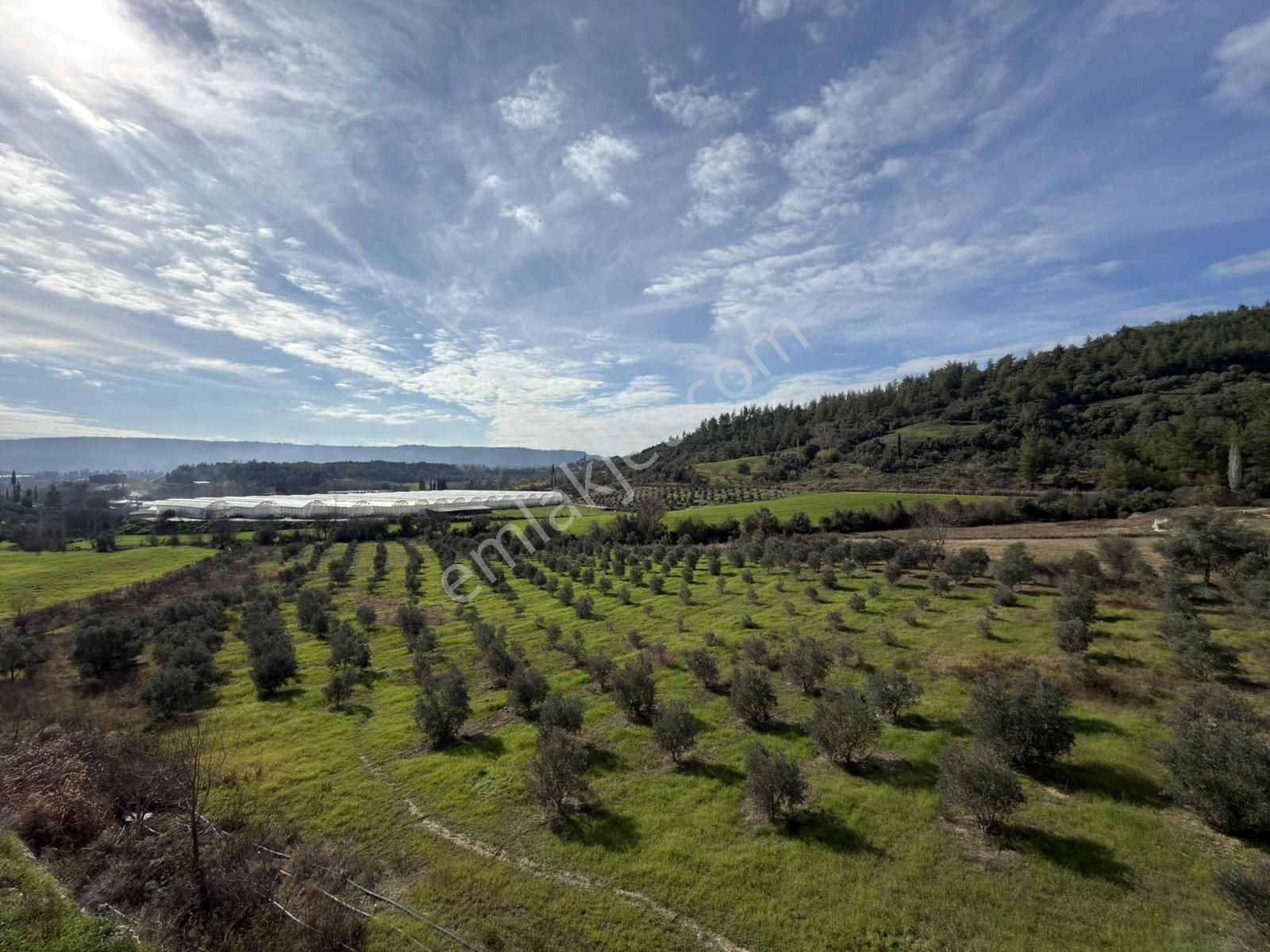 Antalya Aksu Karaözde 8.886 M² Satılık Arazi - Görsel 23