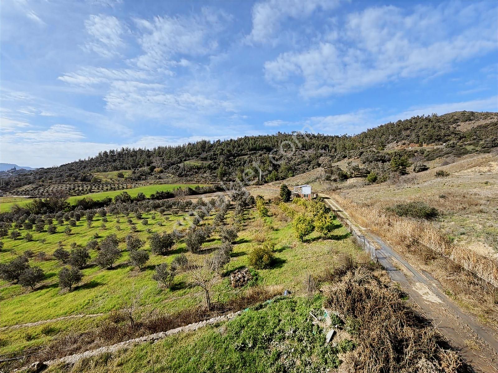 Antalya Aksu Karaözde 8.886 M² Satılık Arazi - Görsel 13