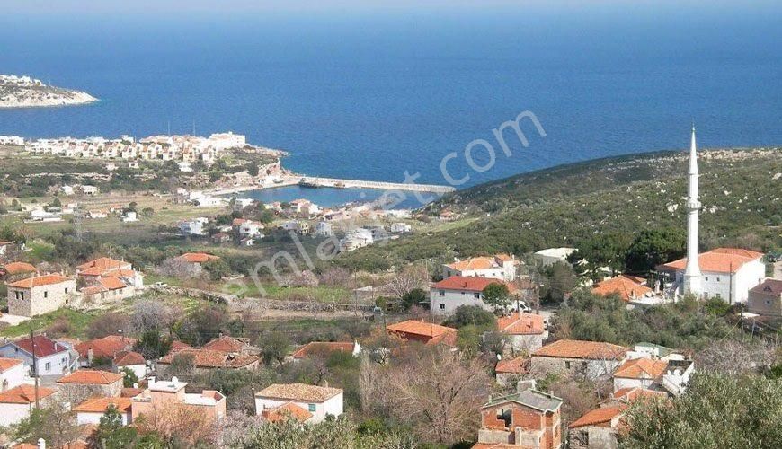 Karaburun Saip’te İnşaata Açık 300-400-500 M2 Arsalar - Görsel 3