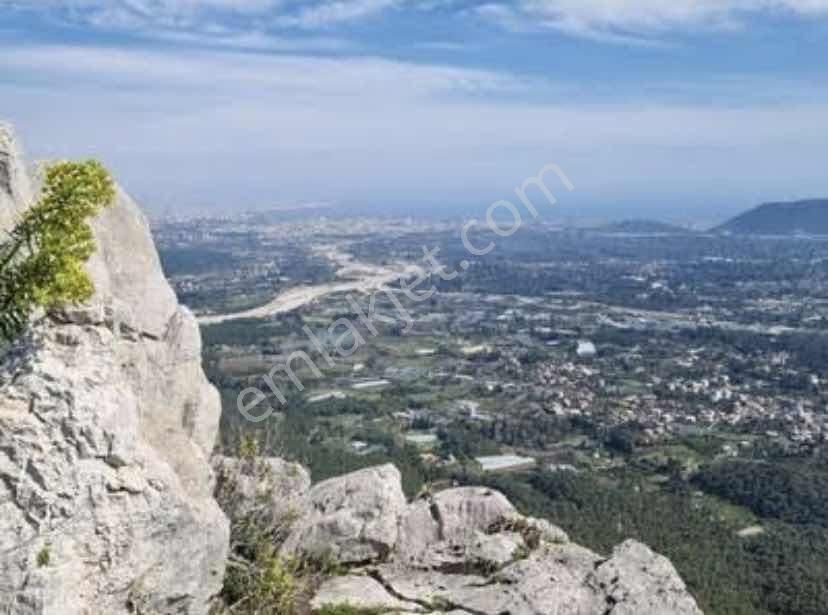 Konyaaltı Doyran'da 1226m2 İçinde Taş Ev Olan Satılık Parsel - Görsel 2