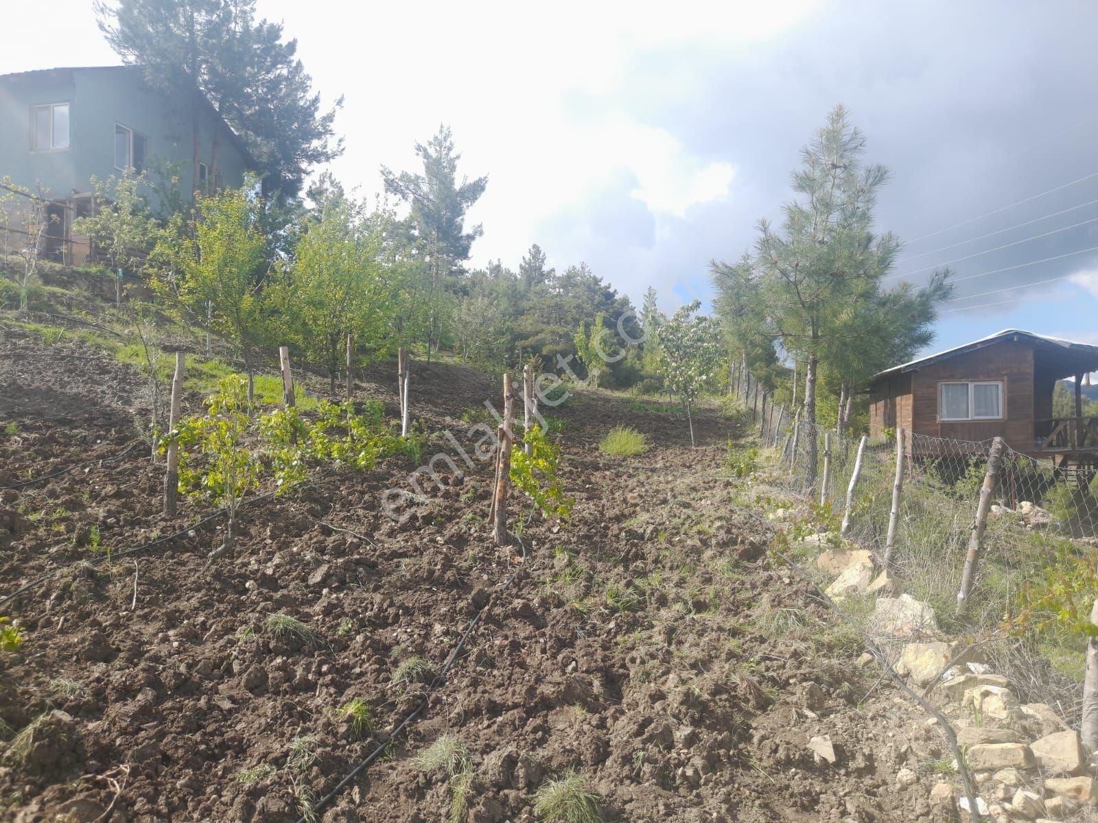 Üçoluk'da 900 Mt2 +ev + 450mt2 Yan Parsel Dahil Manzaralı Tarla - Görsel 15