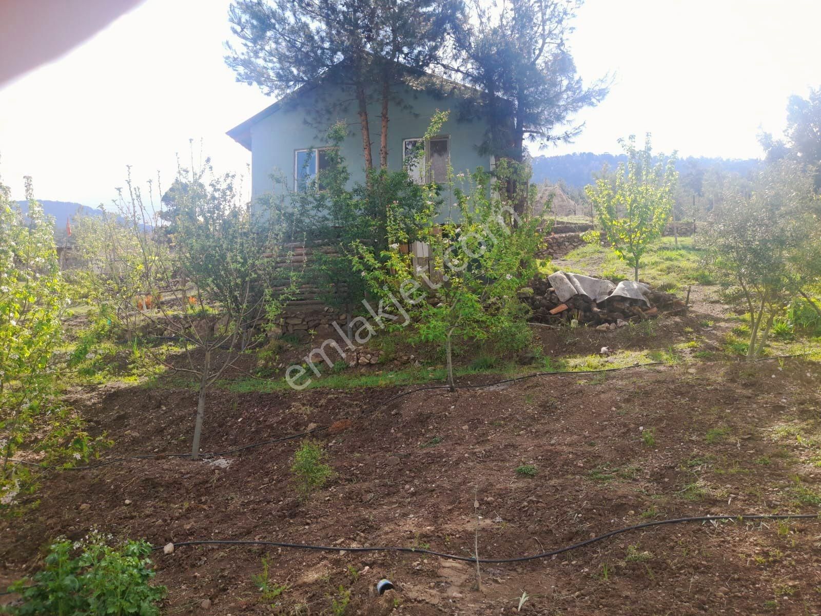 Üçoluk'da 900 Mt2 +ev + 450mt2 Yan Parsel Dahil Manzaralı Tarla - Görsel 9