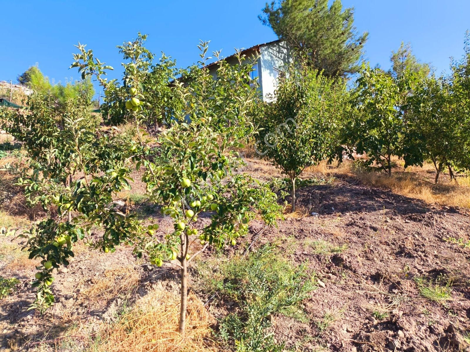 Üçoluk'da 900 Mt2 +ev + 450mt2 Yan Parsel Dahil Manzaralı Tarla - Görsel 11