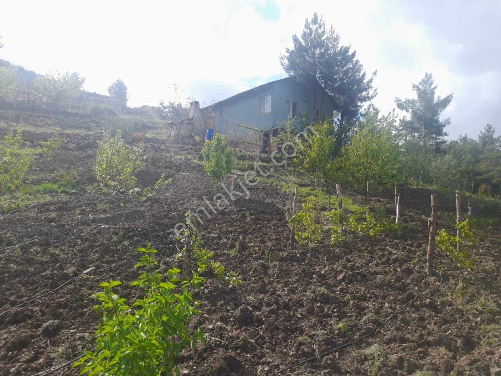 Üçoluk'da 900 Mt2 +ev + 450mt2 Yan Parsel Dahil Manzaralı Tarla - Görsel 13