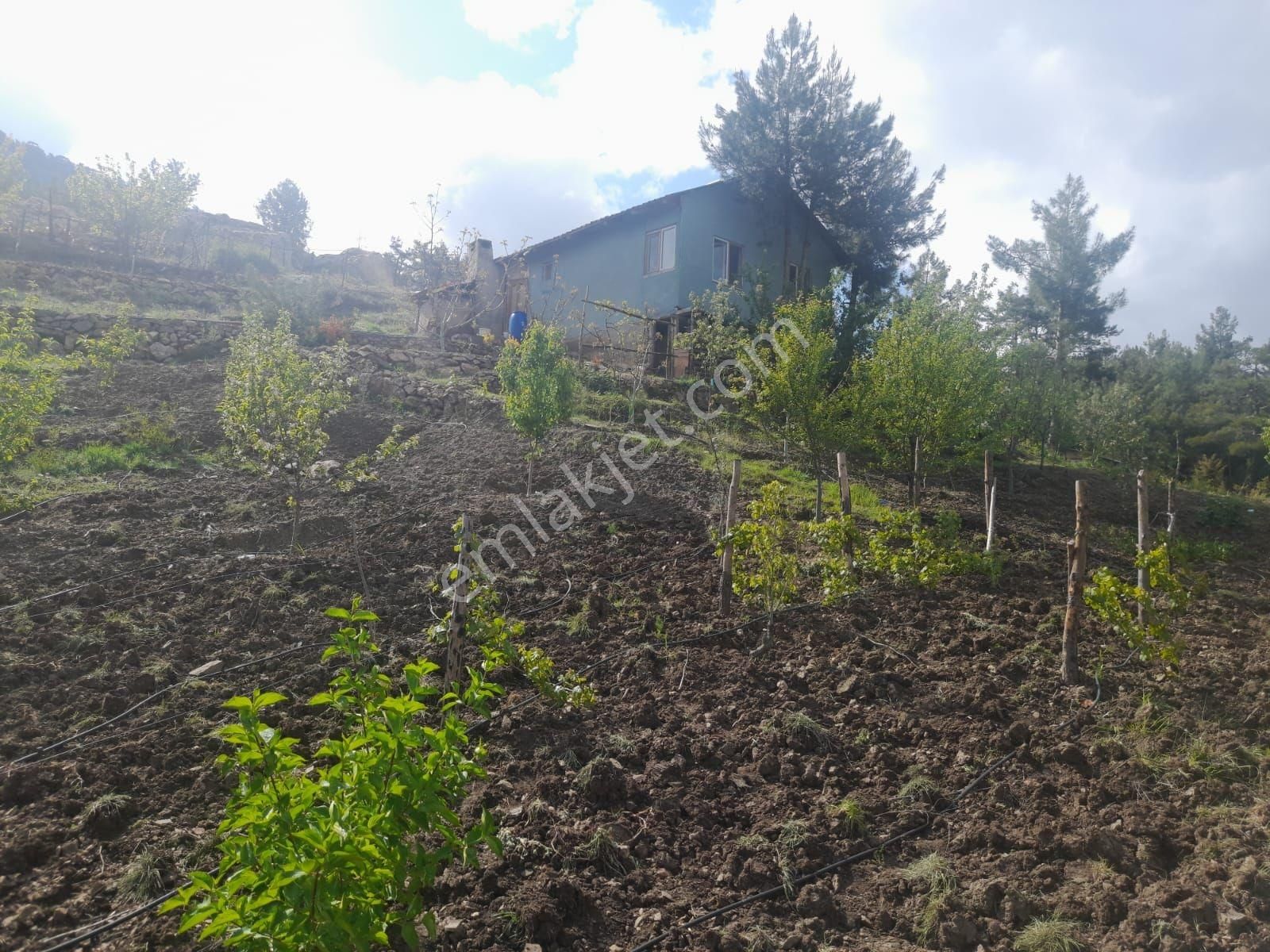 Üçoluk'da 900 Mt2 +ev + 450mt2 Yan Parsel Dahil Manzaralı Tarla