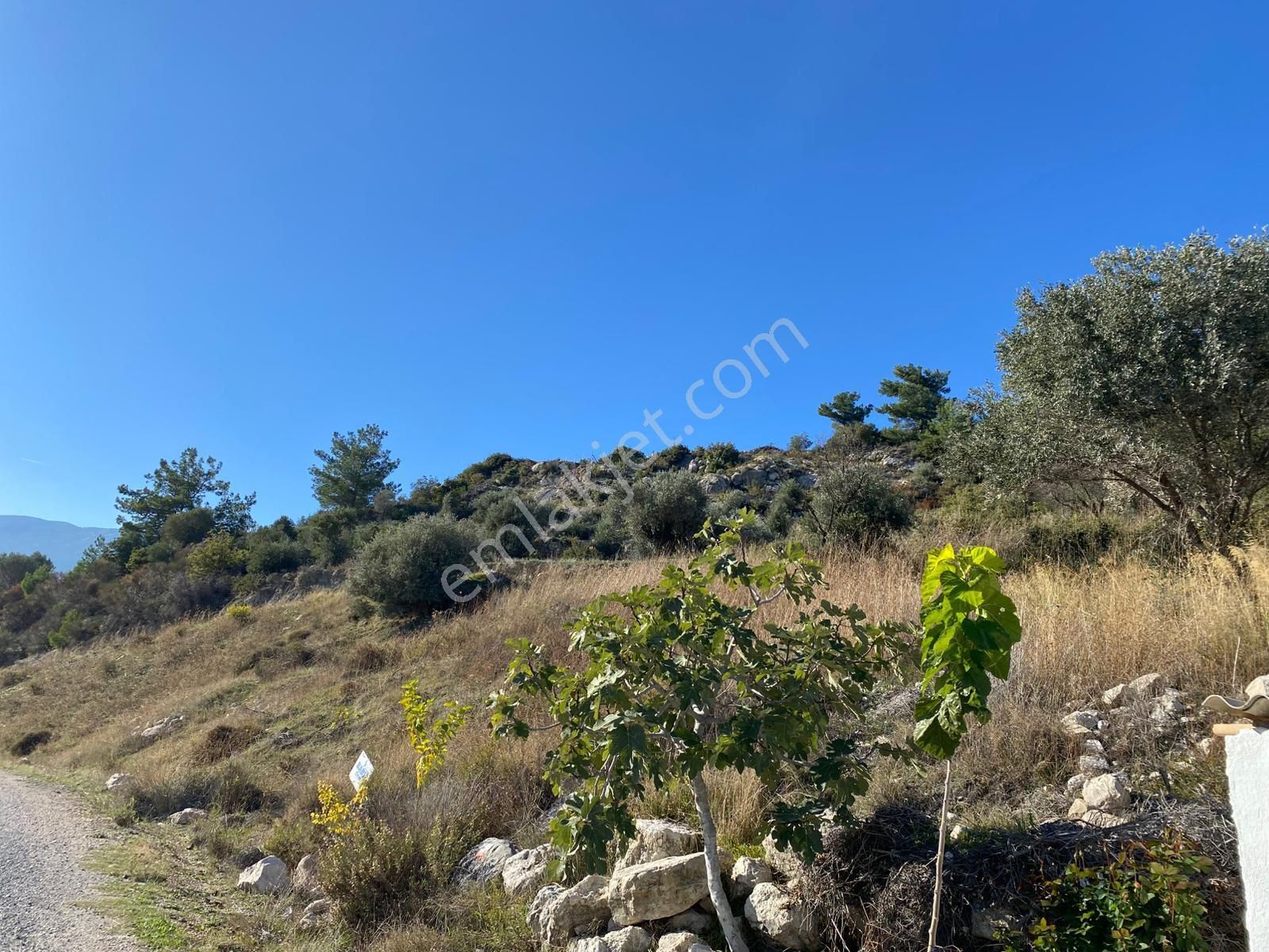 Karaburun Eğlenhoca’da Doğayla İç İçe Satılık Tarla - Görsel 5