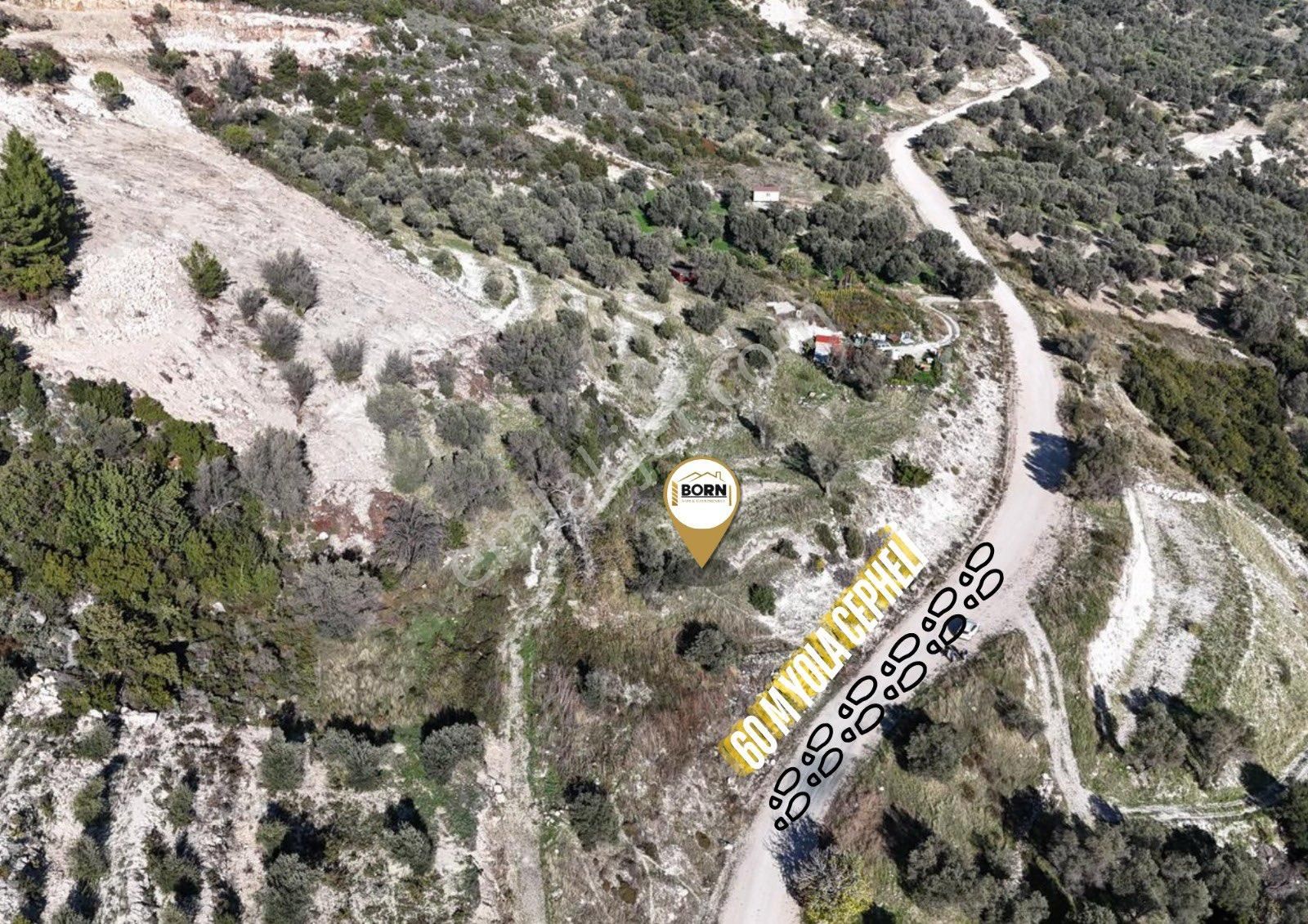 Karaburun Eğlenhoca’da Doğayla İç İçe Satılık Tarla - Görsel 2