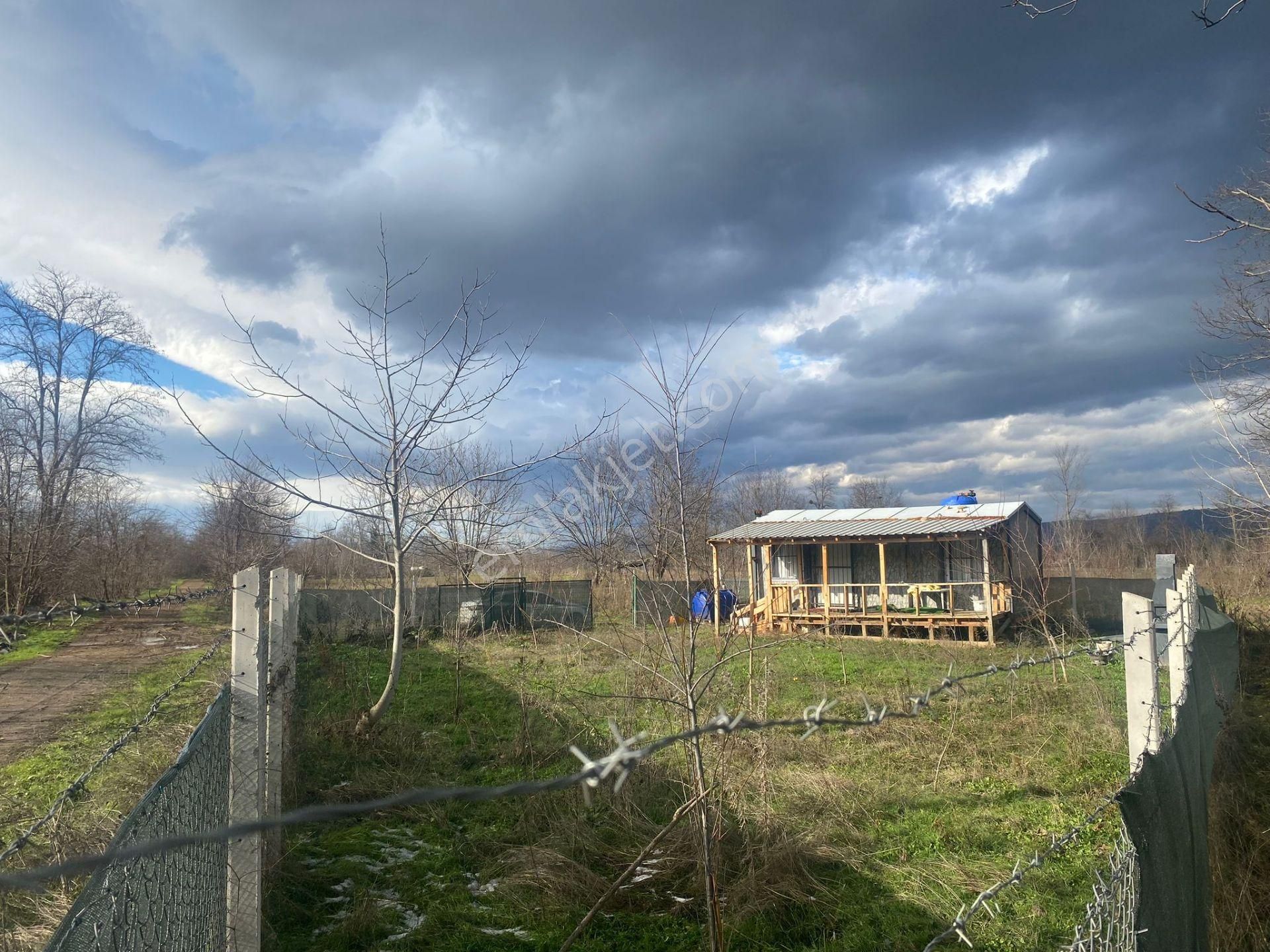 Roma' Dan Kurşunlu' Da Satılık Hobi Bahçesi