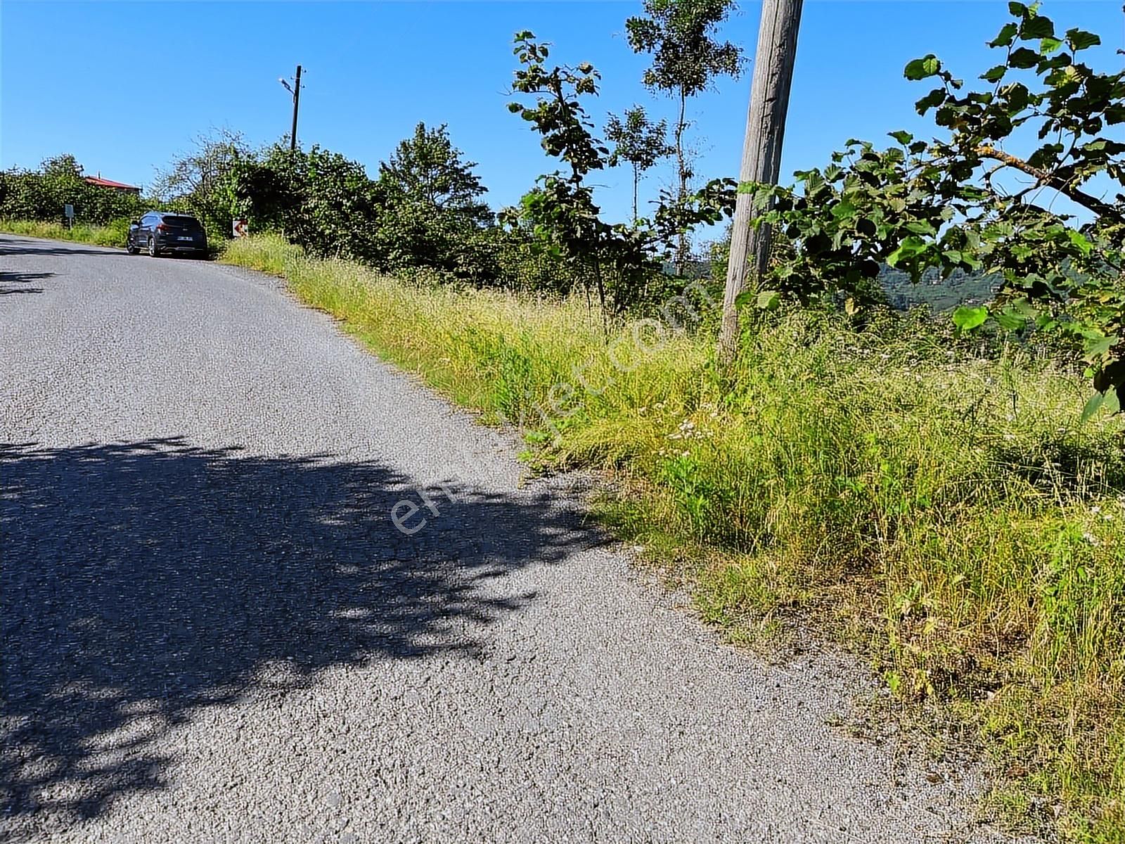 Riva Gymdn Arsin Yeni Mah Sahile 3.5 Km Mesafede Arazi - Görsel 2