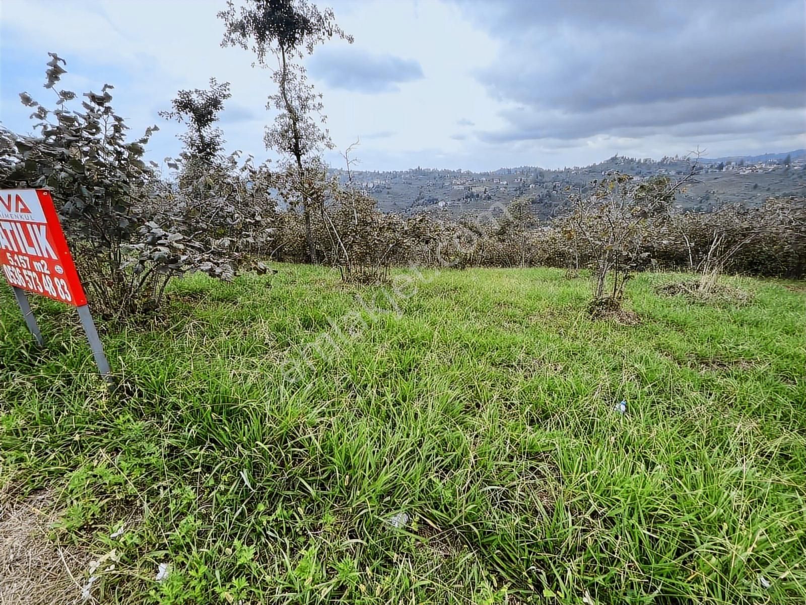 Riva Gymdn Arsin Yeni Mah Sahile 3.5 Km Mesafede Arazi - Görsel 4