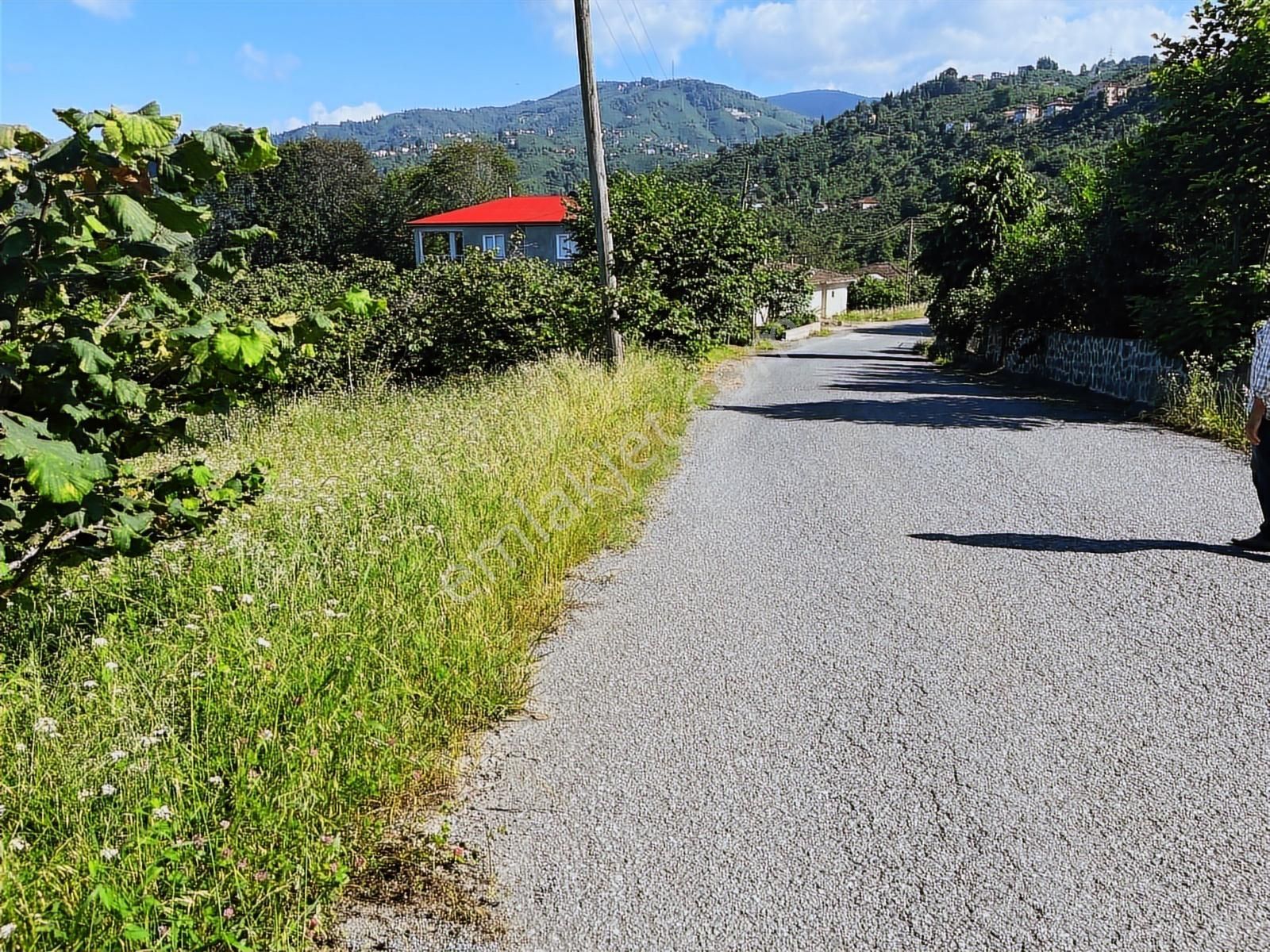 Riva Gymdn Arsin Yeni Mah Sahile 3.5 Km Mesafede Arazi - Görsel 3