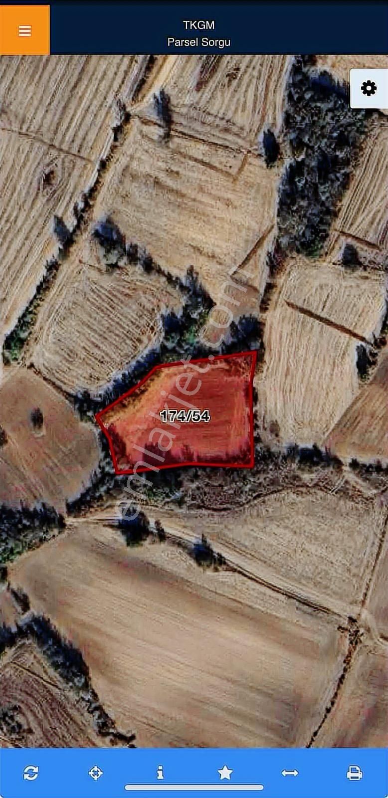 Edirne Lalapaşa Taşlımüsellim Mahallesi 2900 M2 Tarla - Görsel 2