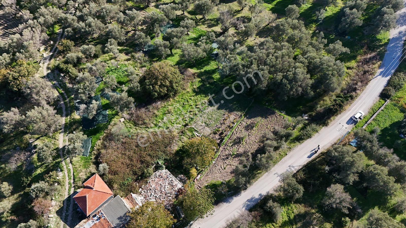 Karaburun Kösedere’de Yatırımlık Tarla - Görsel 4