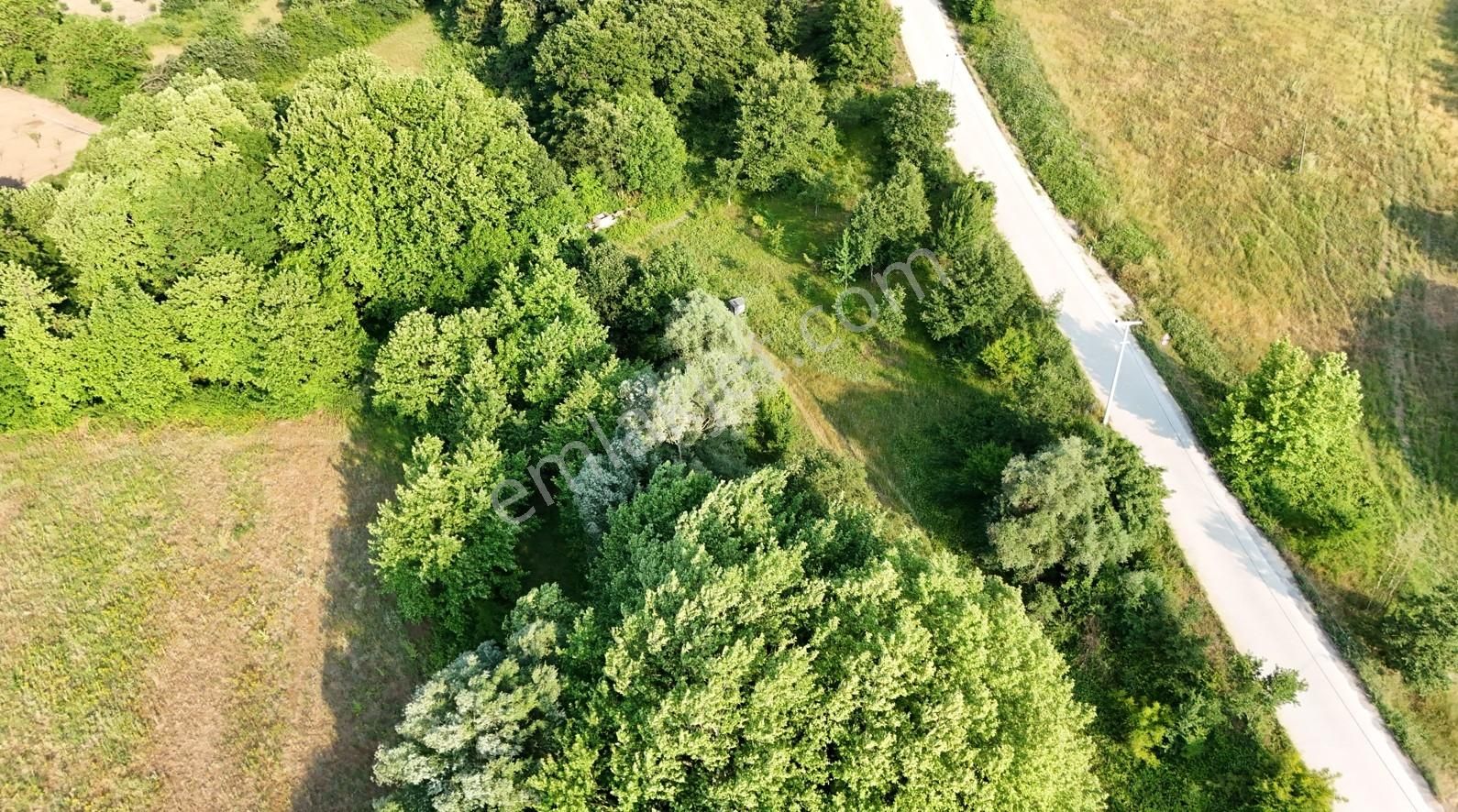 Deniz Gayrimenkul'den Çamdibi Köyünde Asfalt Yola Cephe 5502m2 - Görsel 5