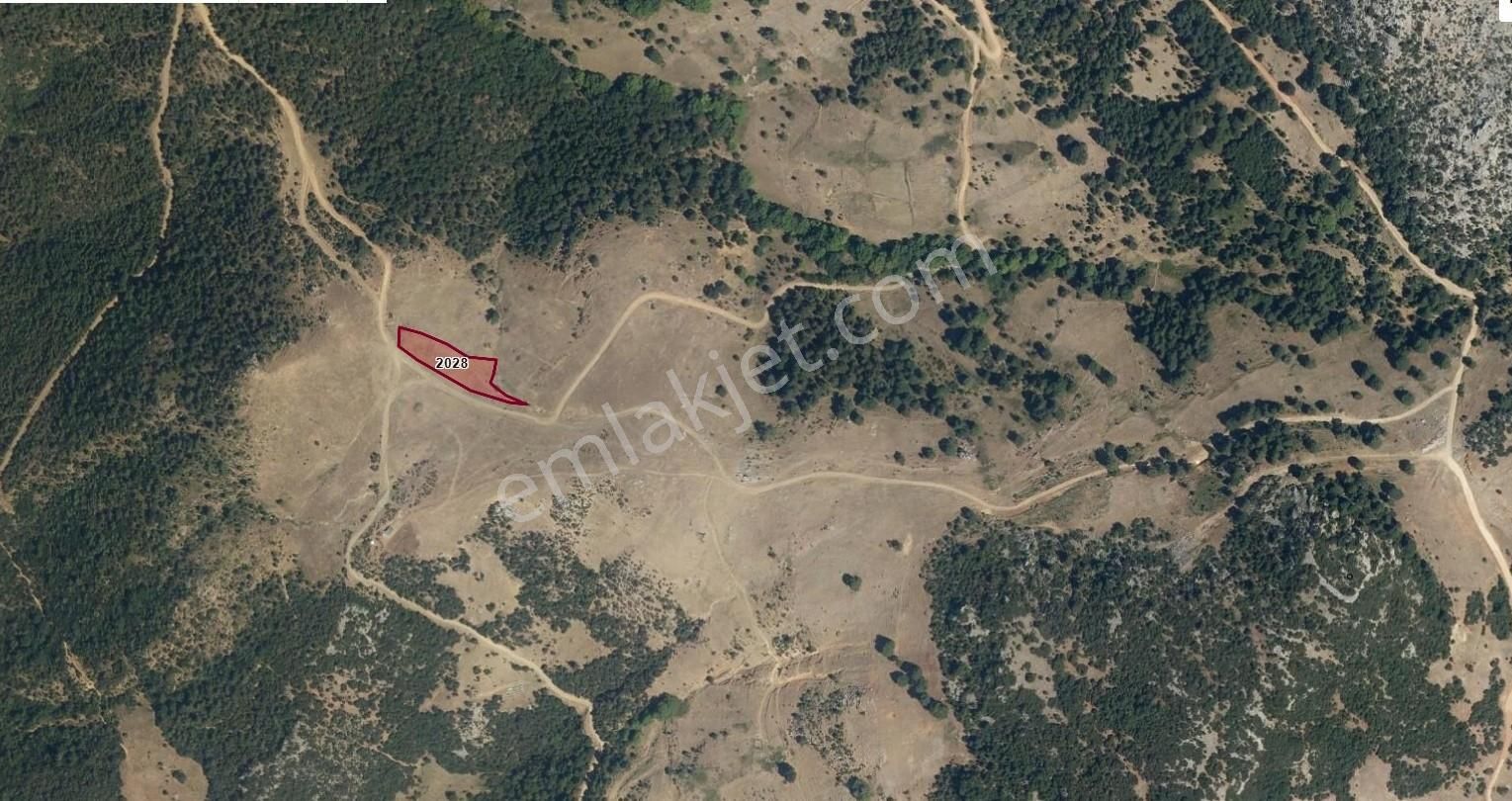 Gürsu Dışkayada Kadastro Cepheli Uygun Müstakil Yatırımlık Tarla - Görsel 2