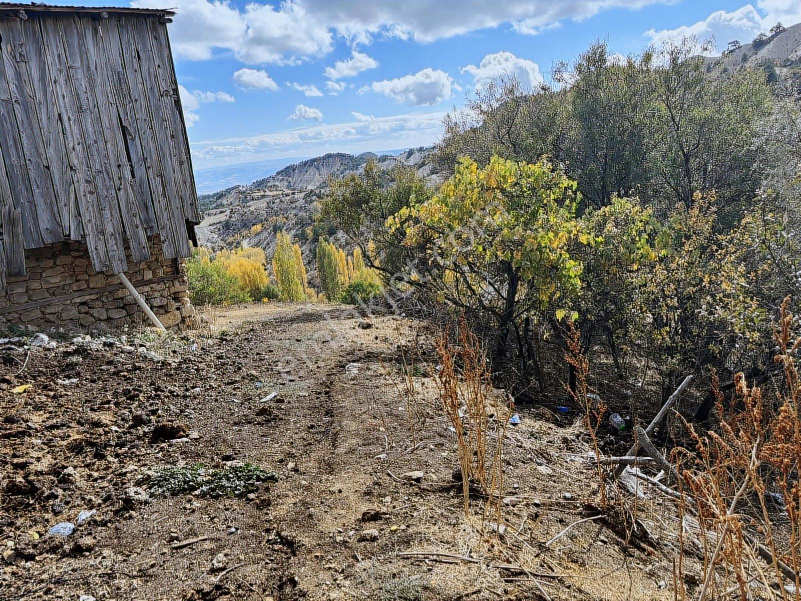 334 Mt Bahçe Köy İçinde. Yolu Var.tek Tapu - Görsel 8