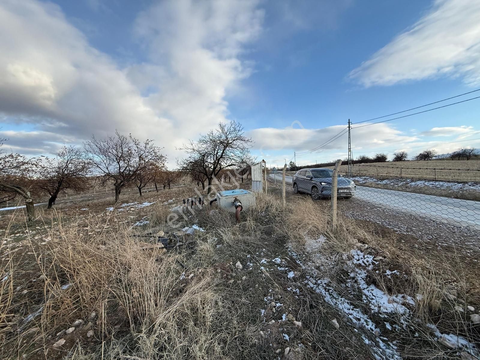 Coldwell Banker Safir'den Eskimalatya Da Satılık Kayısı Bahçesi - Görsel 12