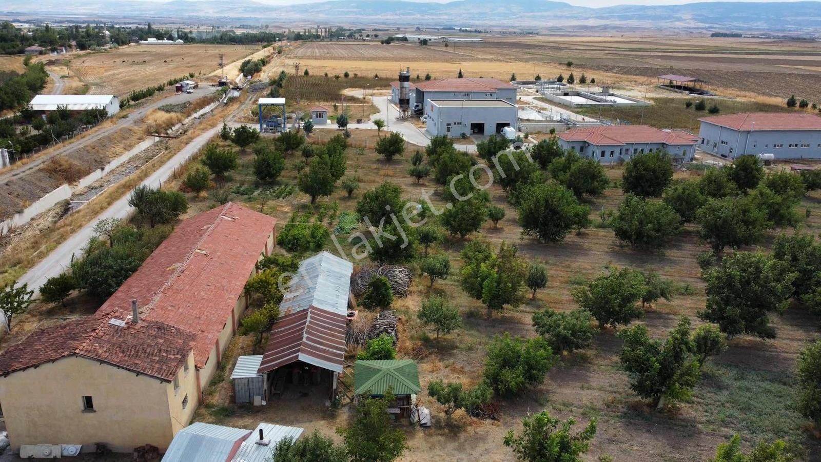 Merzifonda Bahçecik Köyünde İnanılmaz Fırsat