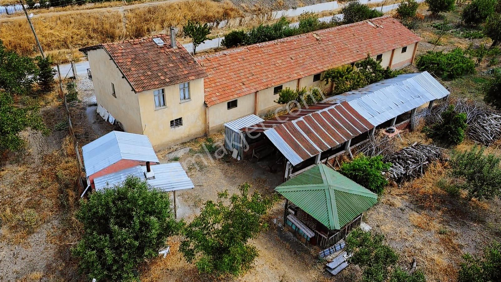 Merzifonda Bahçecik Köyünde İnanılmaz Fırsat - Görsel 10