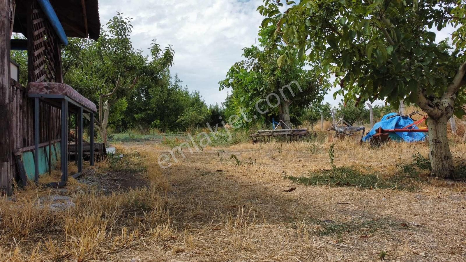 Merzifonda Bahçecik Köyünde İnanılmaz Fırsat - Görsel 14