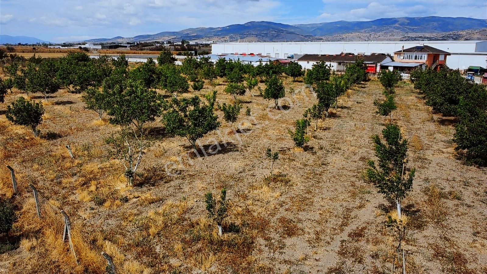 Merzifonda Bahçecik Köyünde İnanılmaz Fırsat - Görsel 7