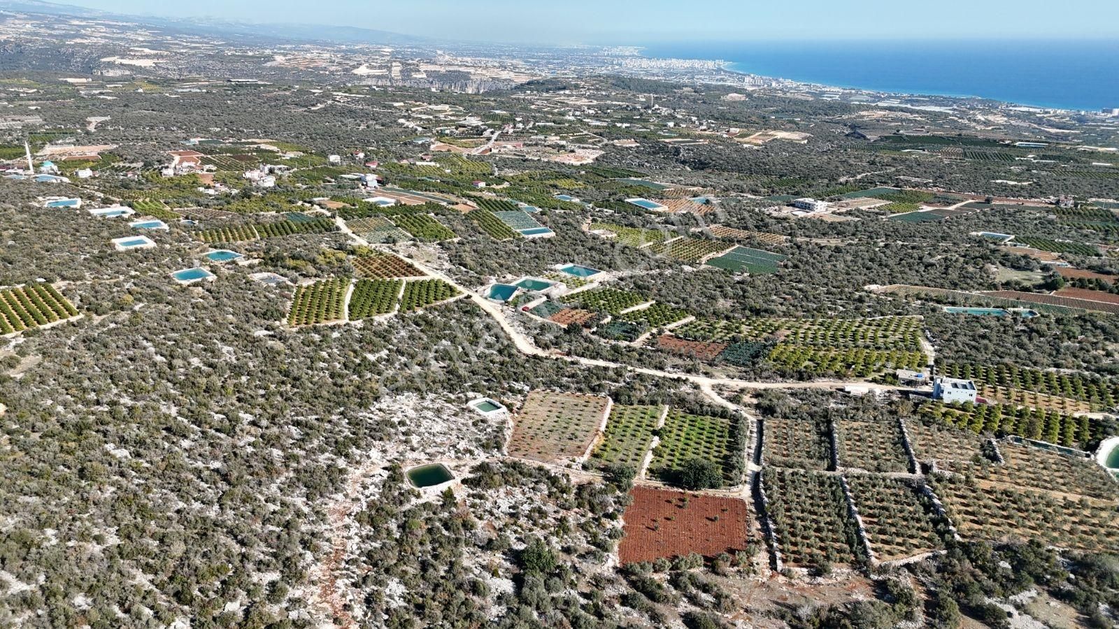 Erdemli Batısandal' Da Full Deniz Manzaralı 981m2 Tarla