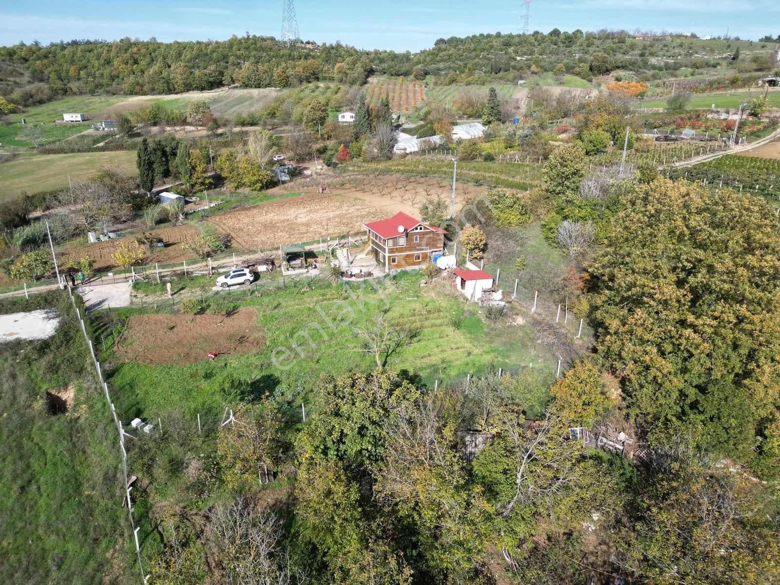 Blue Yatırım'dan Geyikdere'de Müstakil Ev + 1315m2 Meyve Bahçesi - Görsel 17