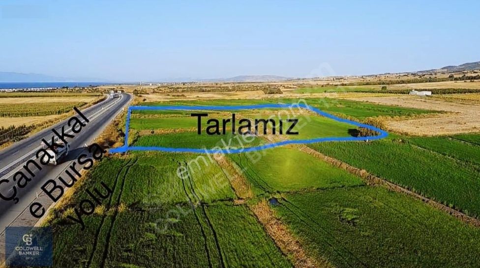 Anayola Cepheli Satılık Tarla - Görsel 3