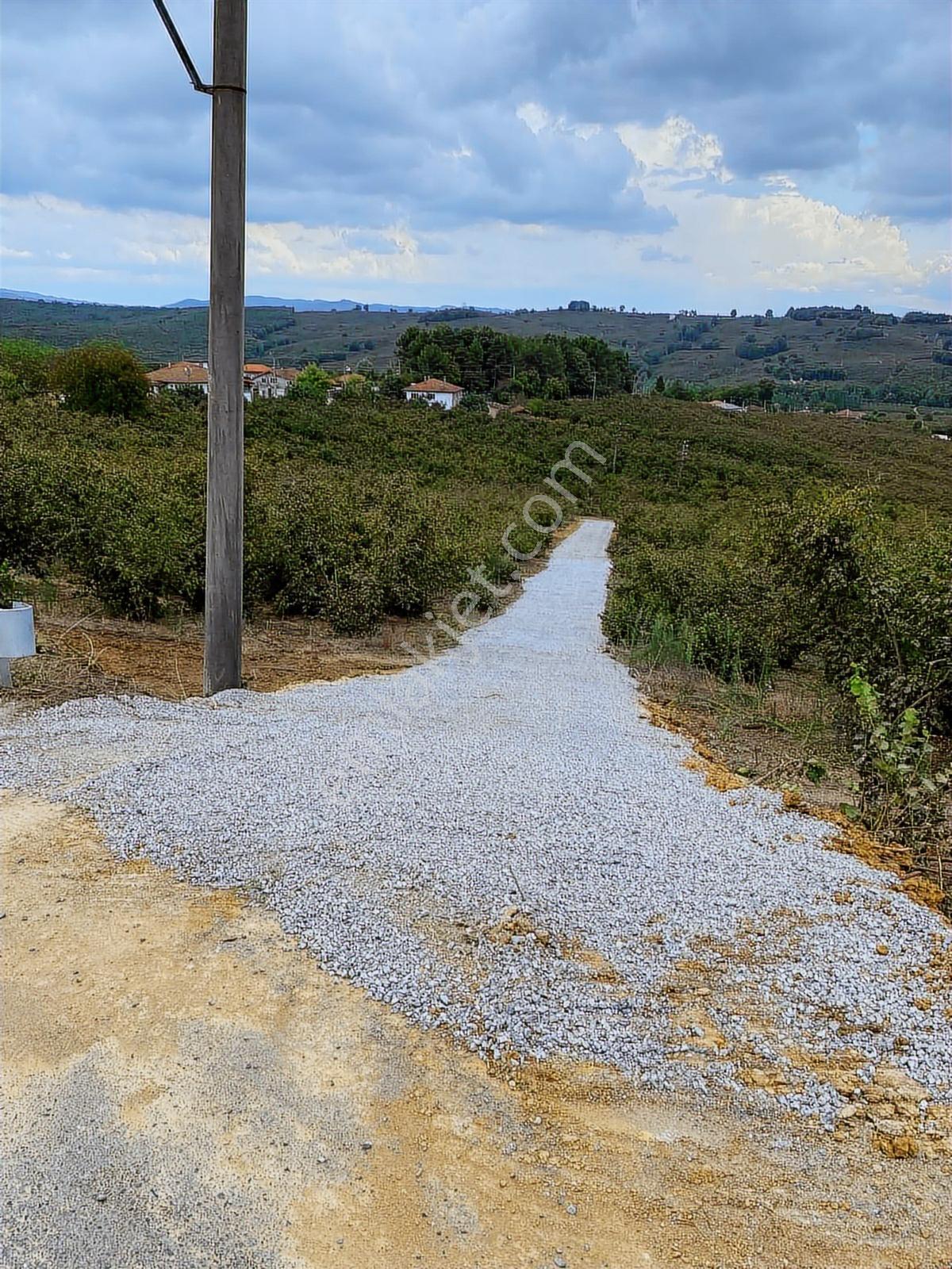 Ferizli Kuscada İmarlı Satılık 404 M2 Arsalar 3 Numara