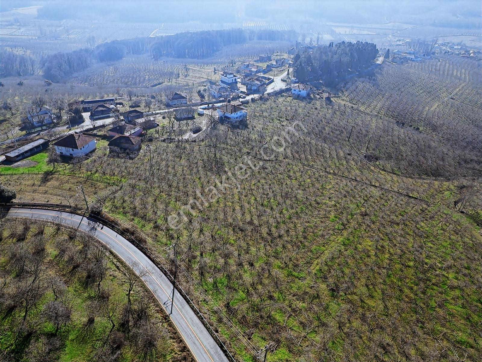 Ferizli Kuscada İmarlı Satılık 404 M2 Arsalar 3 Numara - Görsel 5