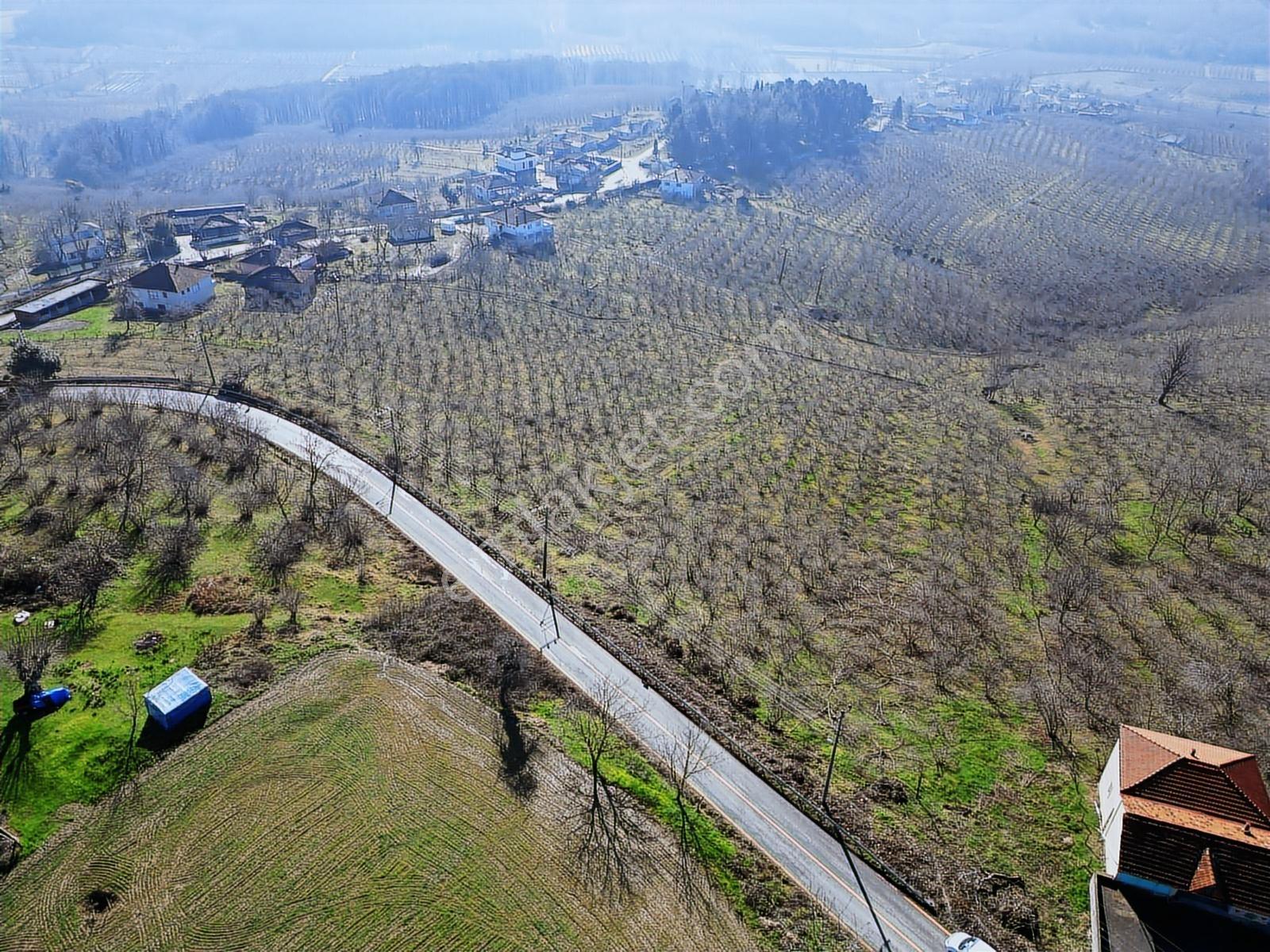 Ferizli Kuscada İmarlı Satılık 404 M2 Arsalar 3 Numara - Görsel 6