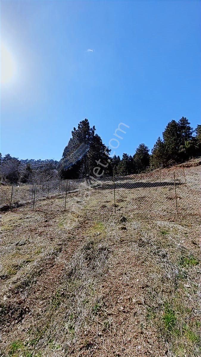 Geyikbayırında Doğa İle İçi İçe Yaşam İçin Mükemmel Yer - Görsel 10