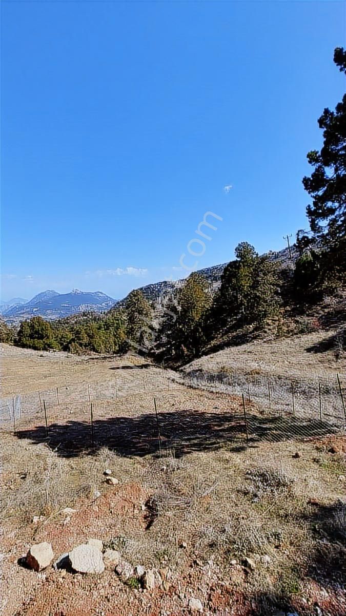 Geyikbayırında Doğa İle İçi İçe Yaşam İçin Mükemmel Yer - Görsel 14