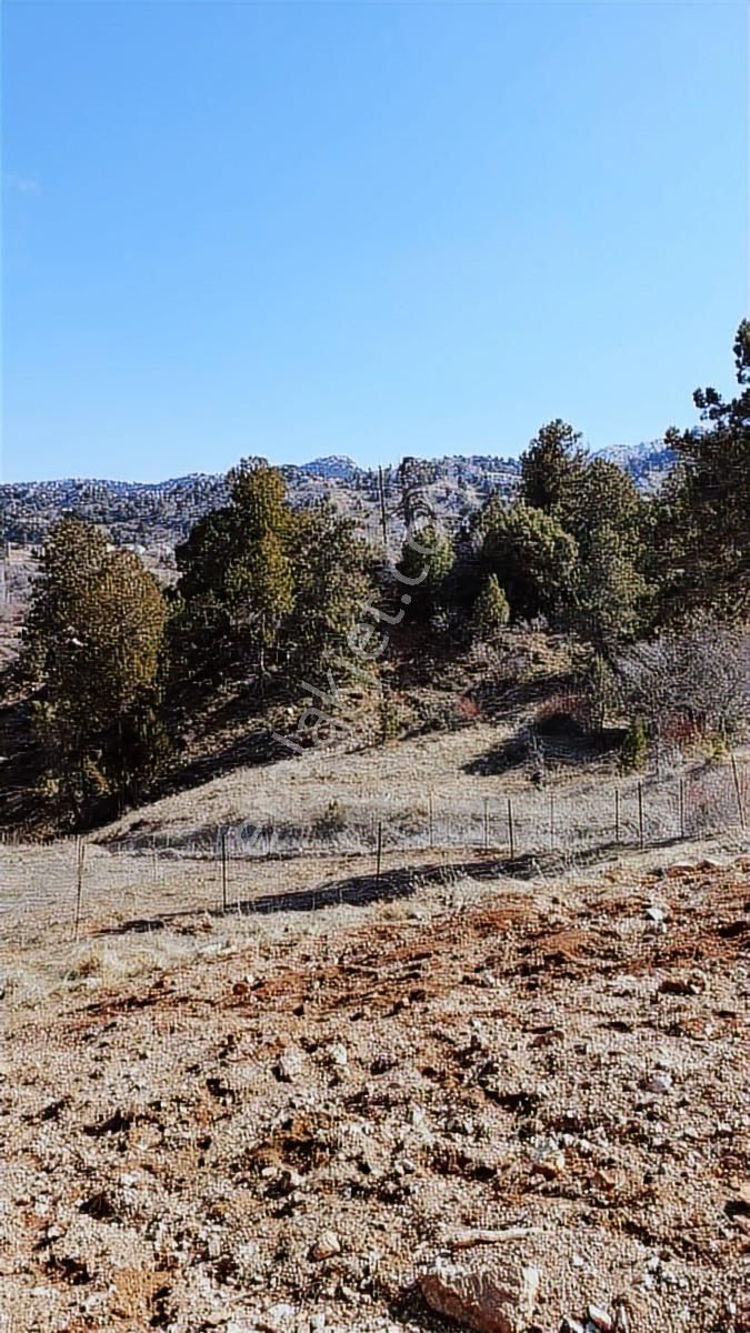 Geyikbayırında Doğa İle İçi İçe Yaşam İçin Mükemmel Yer - Görsel 15