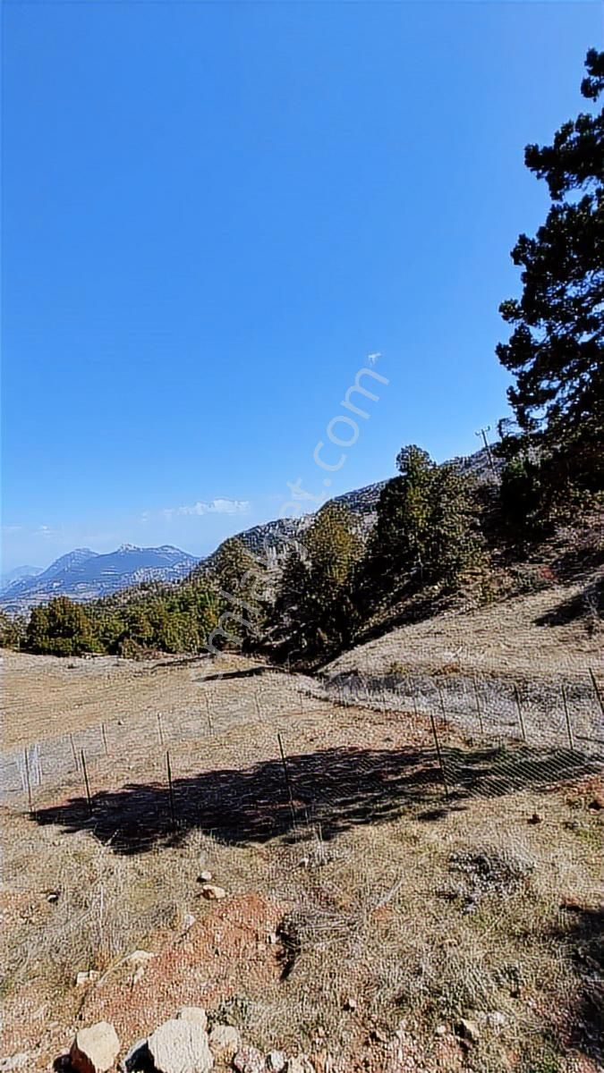 Geyikbayırında Doğa İle İçi İçe Yaşam İçin Mükemmel Yer - Görsel 13