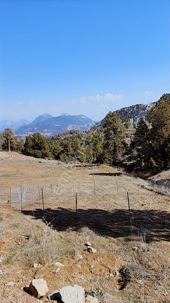 Geyikbayırında Doğa İle İçi İçe Yaşam İçin Mükemmel Yer - Görsel 2