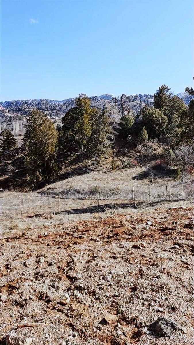 Geyikbayırında Doğa İle İçi İçe Yaşam İçin Mükemmel Yer - Görsel 12