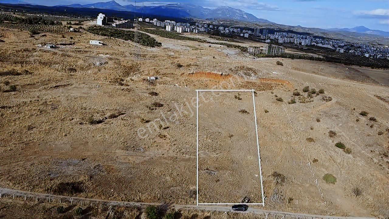 Yatırıma Uygun 8.000m2 Parsel,pancar Organize Depolarına Yakın - Görsel 28