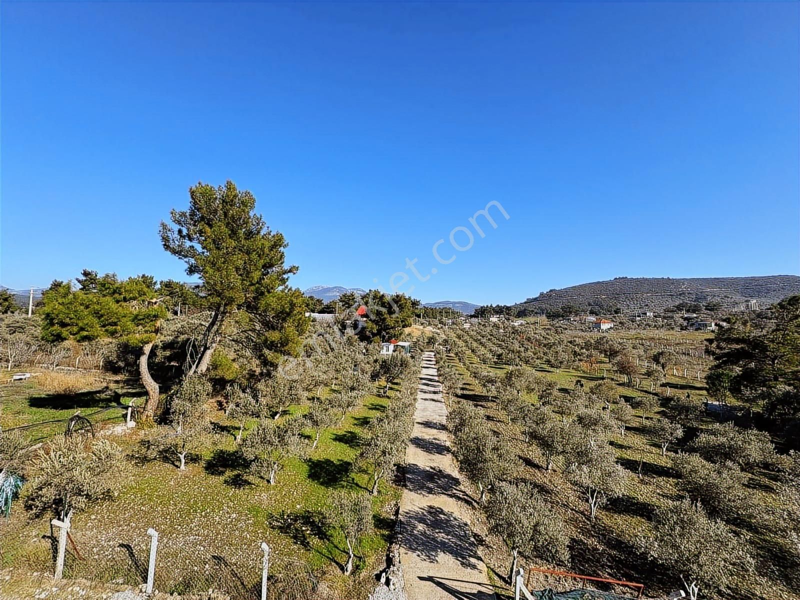 Buca Karacagac'ta 10.515m2 Arazi Tek Tapulu Havuzlu Müstakilev - Görsel 26