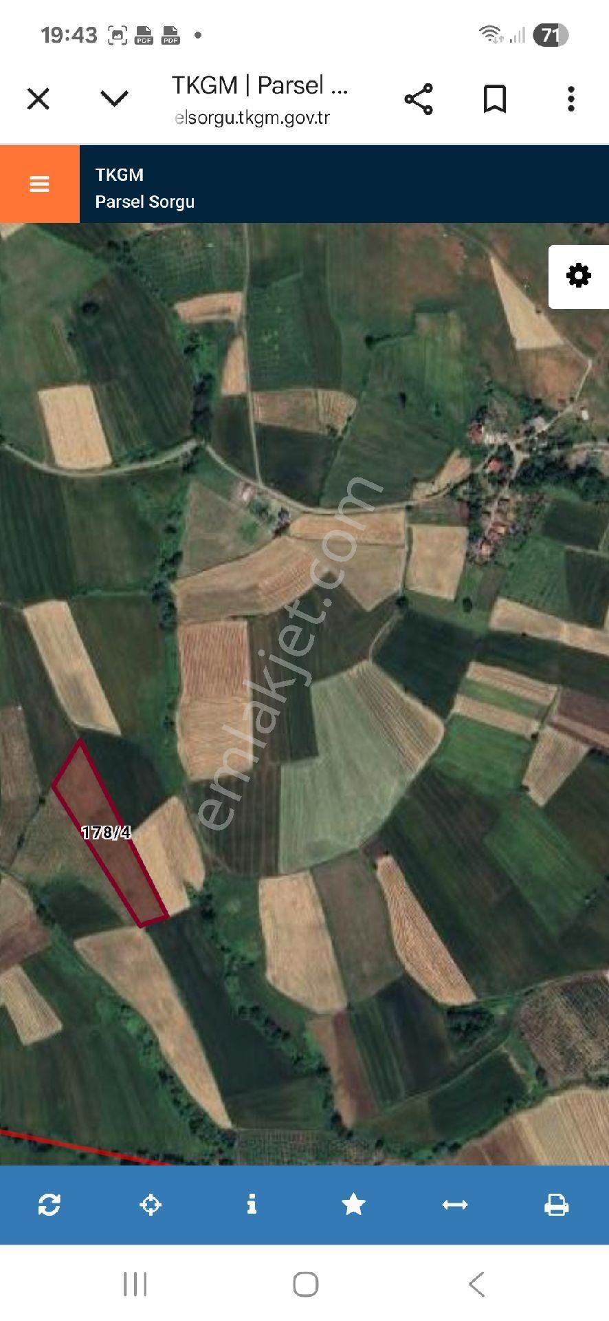 Tarlamız İçinde Fındık Dikili'dir