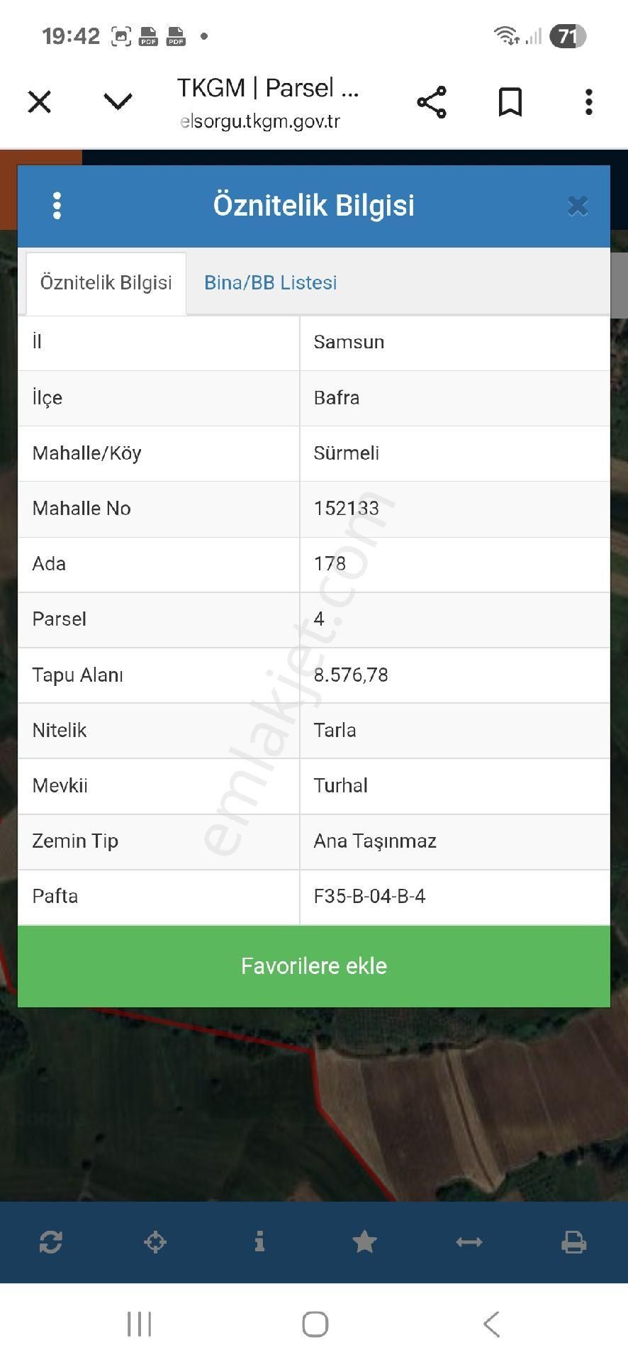 Tarlamız İçinde Fındık Dikili'dir - Görsel 3