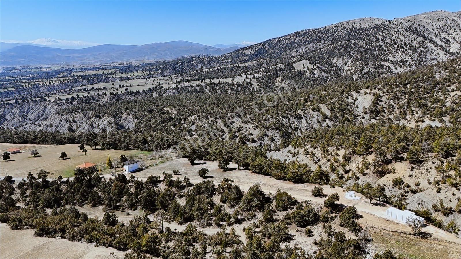 Korkuteli Yukarı Karaman Yaylası 6.602 M2 Satılık Tarla - Görsel 10