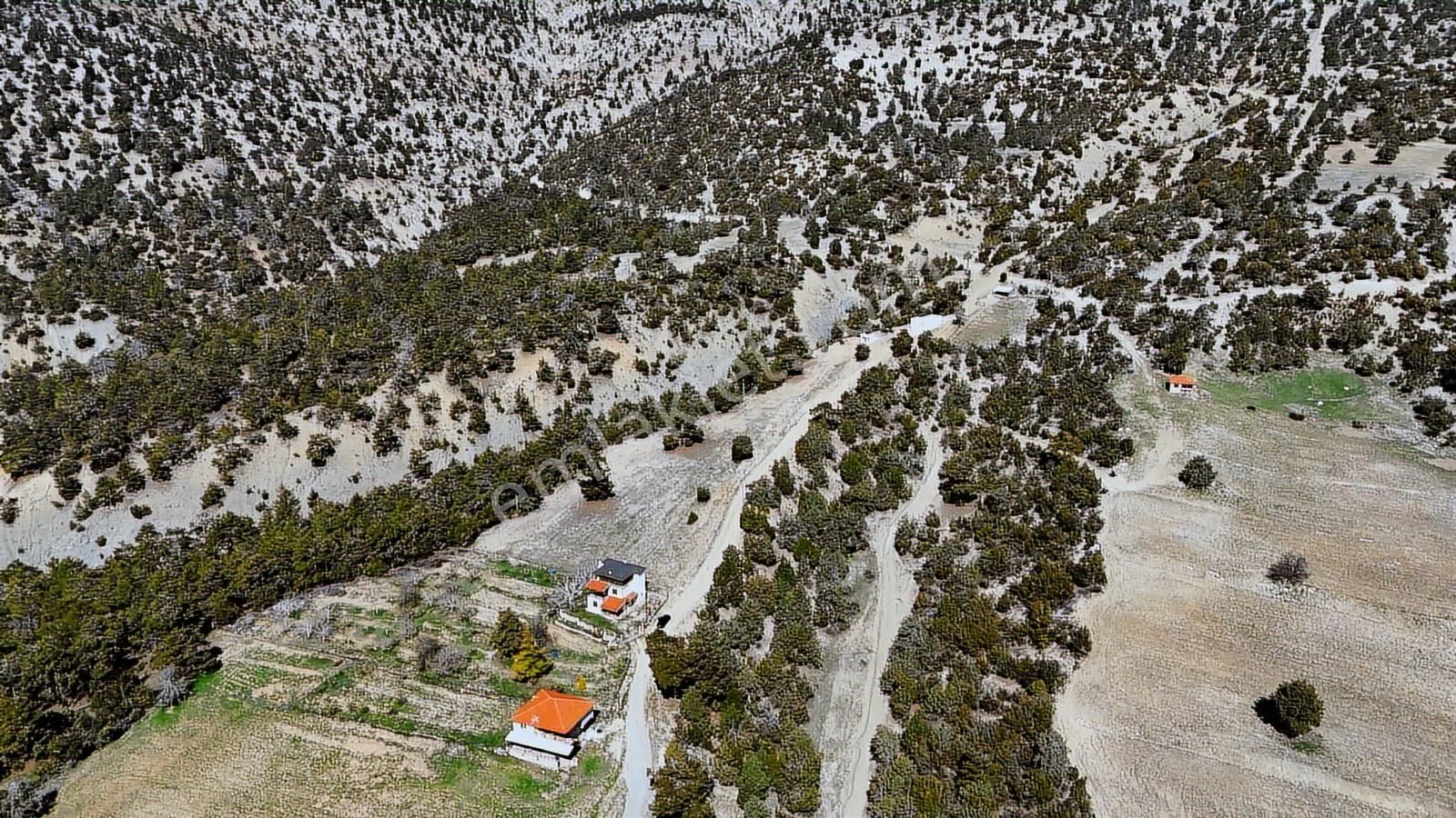 Korkuteli Yukarı Karaman Yaylası 6.602 M2 Satılık Tarla