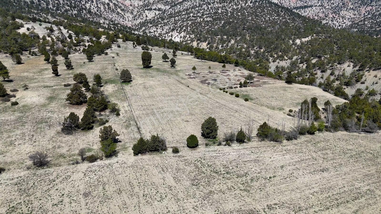 Korkuteli Yukarı Karaman Yaylası 7.527 M2 Satılık Tarla - Görsel 3