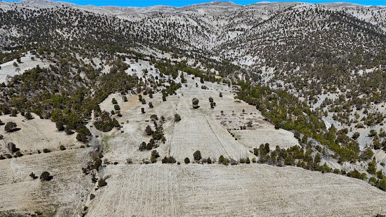 Korkuteli Yukarı Karaman Yaylası 7.527 M2 Satılık Tarla