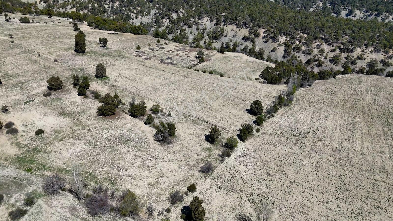 Korkuteli Yukarı Karaman Yaylası 7.527 M2 Satılık Tarla - Görsel 27